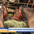 Održana prva Štraparijada kod Kragujevca: Nekoliko hiljada posetilaca iz celog regiona VIDEO