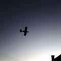 Kikinda: Avio tretman komaraca – pčelari oprez