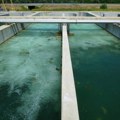 „Niš, moj grad“ traži hitnu reakciju zbog zagađenjih sela i neizgrađene fabrike otpadnih voda