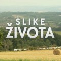 Слике живота: Сувобор као бедем, недеља у 15.15