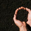Poljoprivrednici u Srbiji traže da država ograniči trgovačke marže na đubrivo i repromaterijal