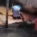 Анаконда дуга 5 метара престравила купаче на плажи Позвани војни ватрогасци да је уклоне
