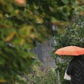 Danas i do 23 stepena: Kakvo nas vreme očekuje naredne sedmice