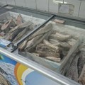Kakve su cene ribe u Zaječaru? Oslić najjeftiniji, skuša poskupela