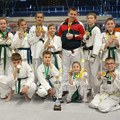 Pljušte medalje za Zrenjanince: Tekvondisti pokorili Vršac i zablistali u Bukureštu