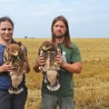 (Foto) Mirjana, Milivoje, Mišel i Atila i fotografija koja obilazi region! Čuvari ponosa i simbola Srbije: Obeležena još…