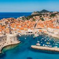 Pogledajte ribu uhvaćenu kod Dubrovnika, do sad su je retko sretali u Jadranskom moru: Dobila i zanimljivo ime