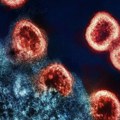 AI dizajnirala viruse koji ubijaju bakterije: Rešenje za rastuću otpornost na antibiotike ili novi rizik za čovečanstvo?