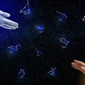 Dnevni horoskop za 16. septembar 2026: Jarac rešava dokumentaciju, Ribama radi mašta, a vi?