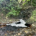 Libergraf i Pravo na vodu : Ocedne vode deponije Duboko zagađuju površinske i podzemne vode