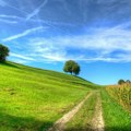 Horoskop za 29. jul: Škorpija pažljivo analizira voljenu osobu, Lav ne dobija dovoljno pažnje