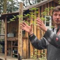 "Sreća nije u kvadratima i sigurnoj plati": Preko noći je dao otkaz, kupio kućicu i preselio se u šumu