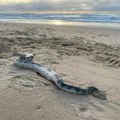 Zmija snimljena među dečjim igračkama na plaži u Bečićima! Drama u popularnom crnogorskom letovalištu