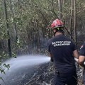 Alarm zbog toplotnog talasa u Kragujevcu! Vatrogasci spremni za reakciju, građani upozoreni da jedna varnica može izazvati…