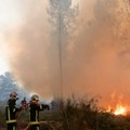 Francuska: Žironda od danas na crvenom stepenu upozorenja zbog šumskih požara