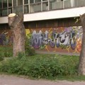 JKP 'Zelenilo-Beograd': Fizički napadnuta četiri radnika dok su orezivala stablo u Mutapovoj ulici