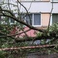 Poginulo dete (11) nakon što je drvo palo na njega: Užas posle strašnog nevremena, zatvorene bašte i parkovi u Sankt…
