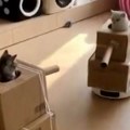 "Neka borbe počnu": Urnebesni video surove bitke u stanu, pogledajte ko upravlja tenkovima od kartona