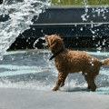 U Srbiji danas sunčano i toplo, temperatura do 33 stepena