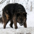 Sela u okolini Prokuplja bez struje, putevi neprohodni zbog snega