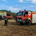 Bez novih žarišta u Deliblatskoj peščari, Vojvodinašume donirale hranu i vodu za životinje