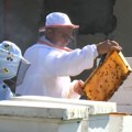 Terapija pčelinjim proizvodima