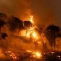 Požari u Evrosu bukte već dve nedelje: Jak vetar i suvo zemljište otežavaju posao vatrogascima