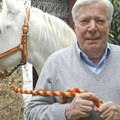 Vlasnik Hermesa planirao da usvoji baštovana i ostavi mu bogatstvo: Akcije i novac naprasno nestali?!