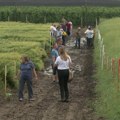 Ministarstvo raspisalo drugi javni poziv za unapređenje ruralne infrastrukture