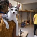 „Pružam ti šapu“ – Lidl donirao tonu hrane napuštenim životinjama