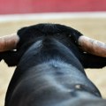 Nesvakidašnja nesreća u Španiji: Legendarnog matadora ubio bik