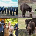 (Foto) Maja Gojković s gosima iz Namibije posetila frušku goru u nacionalnom parku gledali staništa bizona i jelena