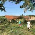Čišćenje dvorišta stare škole u Velikom Trnjanu-TV JUGpress