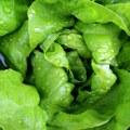 "Batut" savetuje: Za praznike jedite salatu, ali neku zdravu
