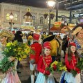 S praznikom mimoze i karavan prijateljstva: Mimoze zamirisale u Beogradu i na Zlatiboru