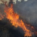 Ispalili vatromet, pa zapalili šumu: Drama na ostrvu, policija uhapsila 13 osoba (foto)
