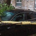 Oluja uništila Trebinje! Stabla padaju po putu, ulice poplavljene: Automobili izlomljeni! (foto)
