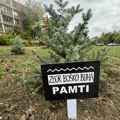 FOTO: Limanci zasadili 16 stabala sećanja na livadi kod Štranda