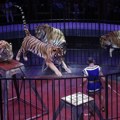 Tigar iskočio iz arene u cirkusu u Rostovu