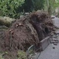 Jako nevreme pogodilo Zagreb, povređene tri osobe