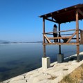 Delta Vjosa-Narta u Albaniji – utočište retkih vrsta i predmet spora