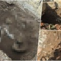 Novi detalji jezivog ubistva u Rumi: Ocu i sinu produžen pritvor, istraga obuhvatila i maloletnika - Aleksandrovo telo…