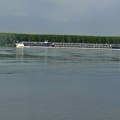 Da li je i koliko Dunav dobar za kupanje?