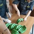 Istorijska zaplena droge u Italiji: Kokain vredan 800 miliona evra nađen u keramičkim bananama: Evo kako je policija locirala…