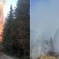 Vlada Crne Gore otvorila namenski račun za sanaciju štete posle požara