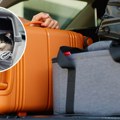 Važno obaveštenje za sve koji putuju sa kućnim ljubimcima: Ako krećete na put, ovo morate imati, EU uvodi nova pravila