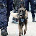 Novosađanin pred policajcima odbacio paketić marihuane i vagicu, a potom mu u stanu našli ostatak narkotika