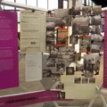 Od Beograda 1961. do danas – „Nesvrstani svet“ u Muzeju afričke umetnosti