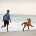 Dečak šetao psa na plaži Ono što je pronašao u pesku mu je zauvek promenilo život! (foto)