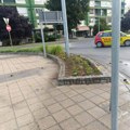 Deca čupala pa se gađala cvećem u Loznici Ružne slike u centru grada, oglasilo se KJP "Naš dom" (foto)